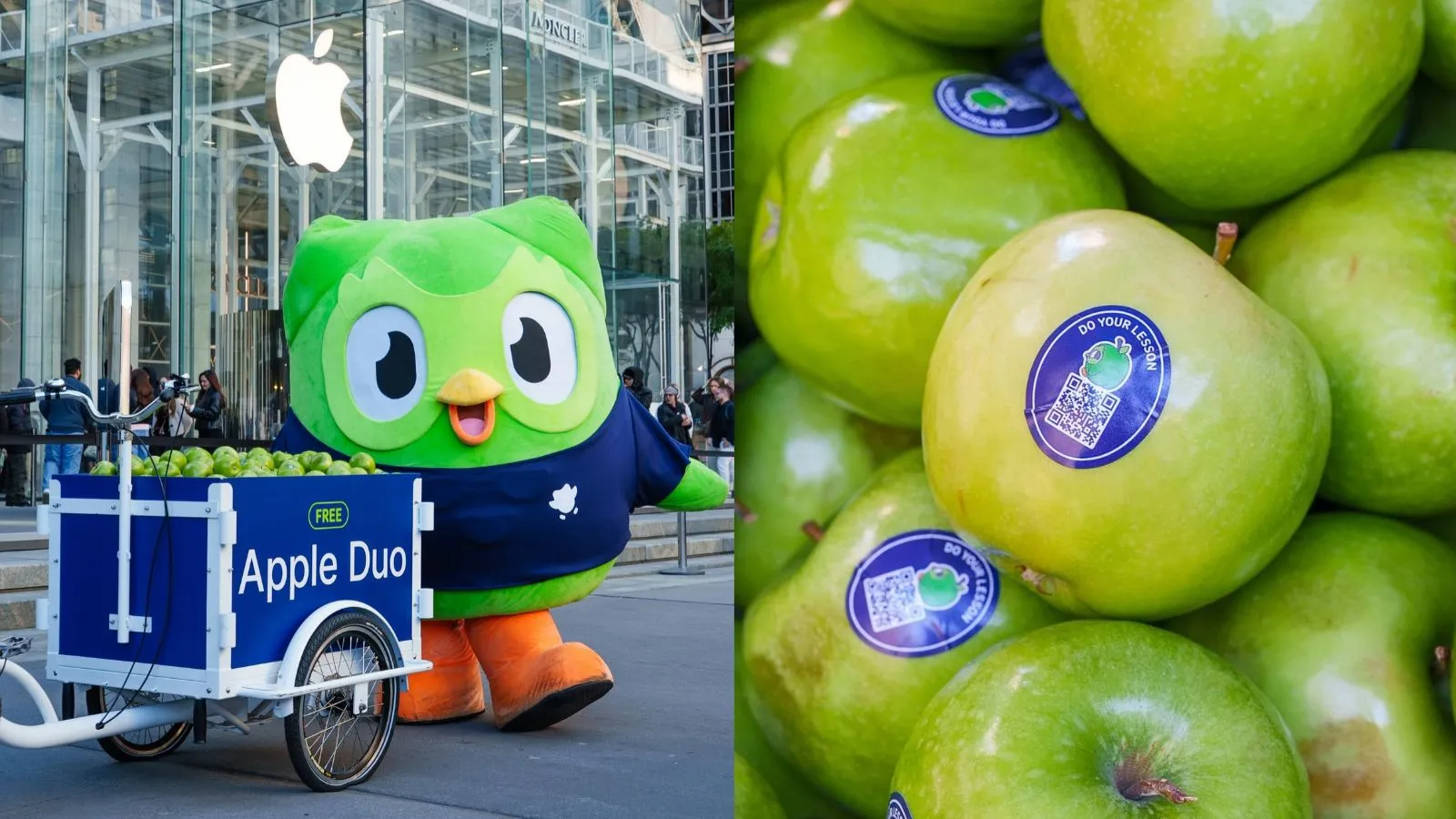 Mascota Duo junto a un carrito de manzanas con pegatinas y códigos QR durante la activación de Duolingo