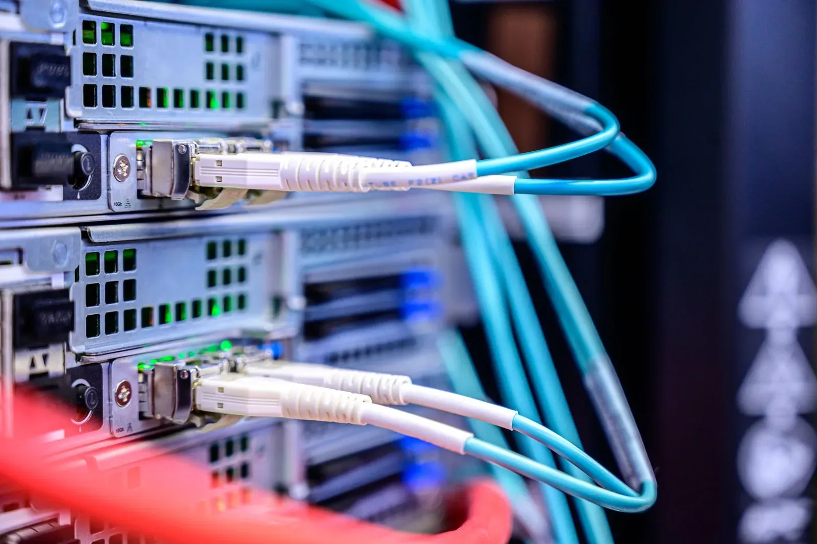 Cables de red conectados a un servidor.